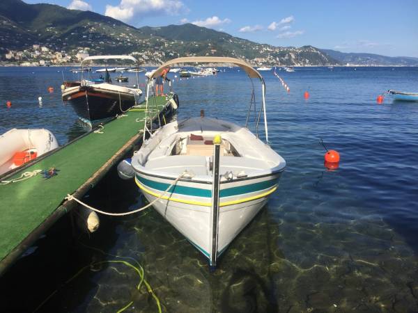 LIGURIAN GOZZO ENA 